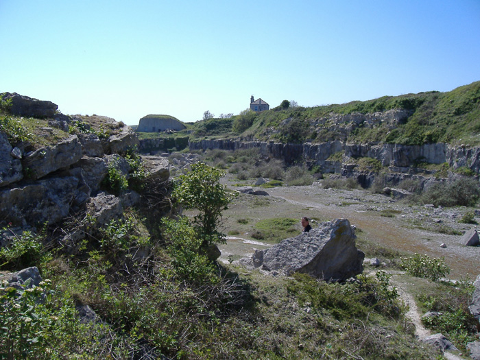 Habitat at Cheyne Weare